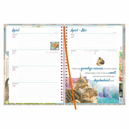 Comello Franciens Katten Bureau Agenda 2027 Blue