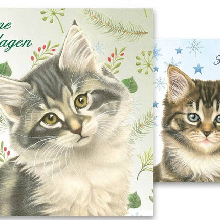 Comello Franciens Katten Kerstkaarten