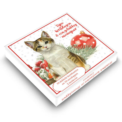 Comello Franciens Katten Kerstkaarten  7