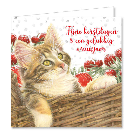 Comello Franciens Katten Kerstkaarten  7