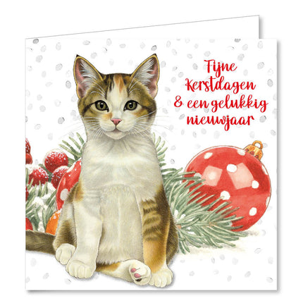 Comello Franciens Katten Kerstkaarten  7