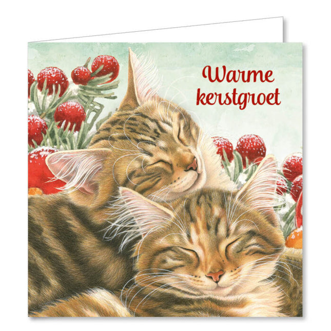 Comello Franciens Katten Kerstkaarten Kat met krans