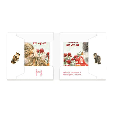Comello Franciens Katten Kerstkaarten Kat met krans