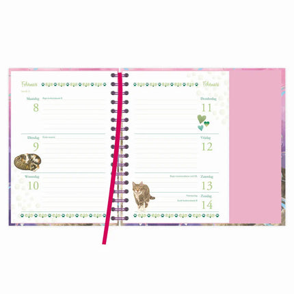 Comello Franciens Katten Spiraalagenda 2027 Blitz