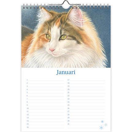 Comello Franciens Katten Verjaardagskalender Tibbe