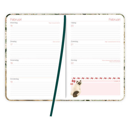 Comello Franciens Katten Weekagenda 2026
