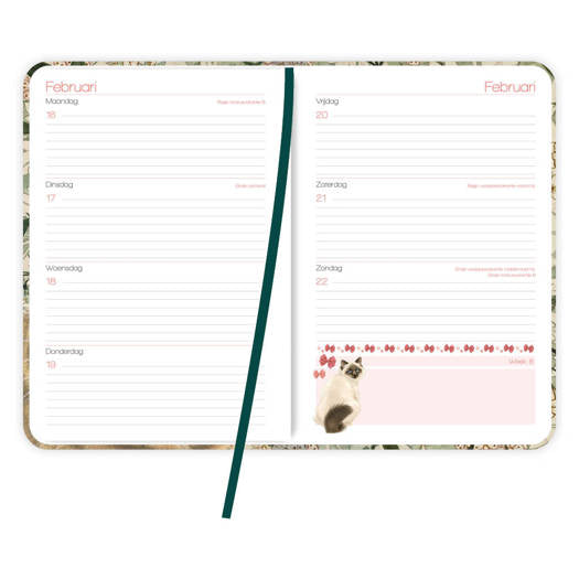 Comello Franciens Katten Weekagenda 2026
