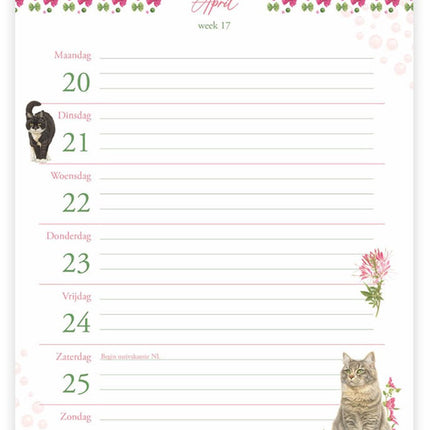 Comello Franciens Katten Weeknotitiekalender 2026 Evi