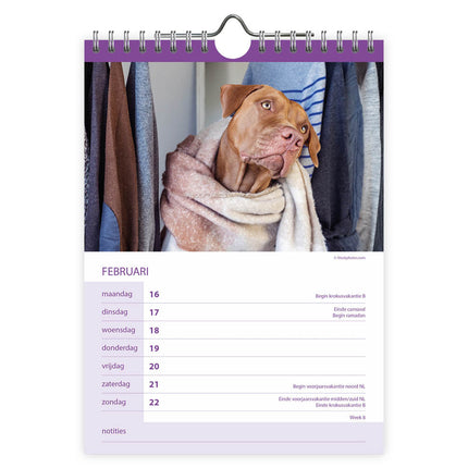 Comello Honden WEEKnotitiekalender 2026