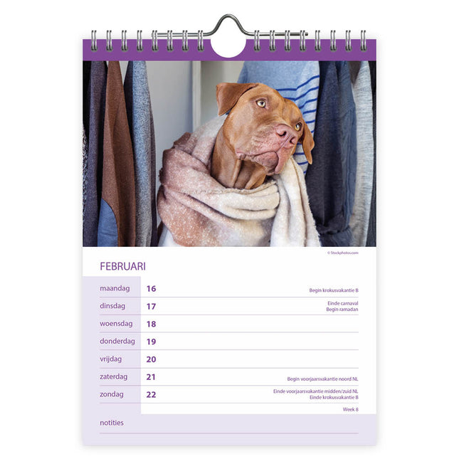 Comello Honden WEEKnotitiekalender 2026