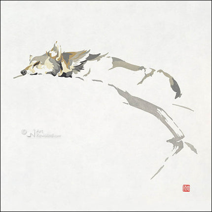 Comello Kaartenmapje Erik van Ommen – Hidden Nature 8 Stuks