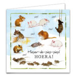 Comello Kaartenmapje Lang leve de Boerderij, Hieper de Piep 10 stuks