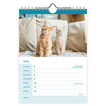 Comello Katten WEEKnotitiekalender 2026