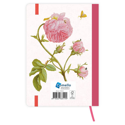 Comello Maria Sibylla Merian weekagenda 2026