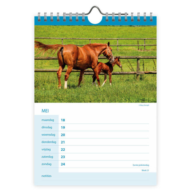 Comello Paarden WEEKnotitiekalender 2026