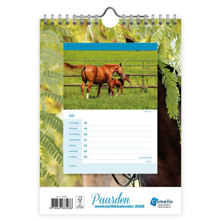 Comello Paarden WEEKnotitiekalender 2026