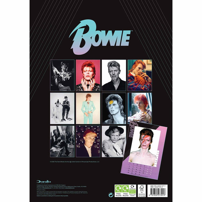 Danilo David Bowie Kalender 2026 A3