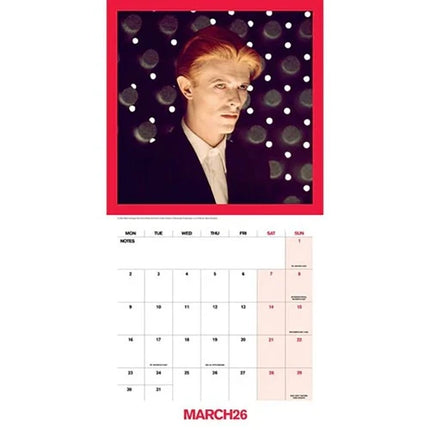 Danilo David Bowie Kalender 2026 Record Sleeve