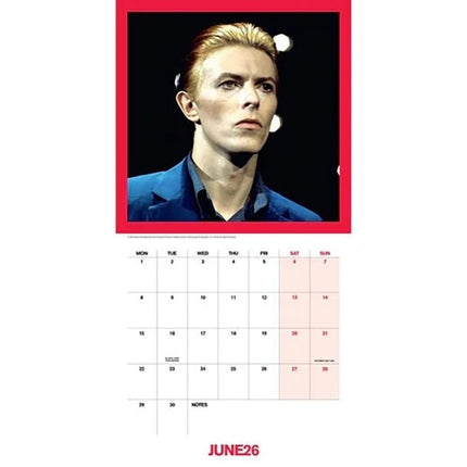 Danilo David Bowie Kalender 2026 Record Sleeve