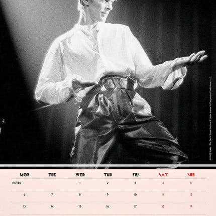 Danilo David Bowie Kalender 2027 A3