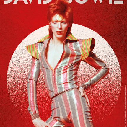 Danilo David Bowie Kalender 2027 A3