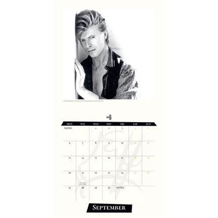 Danilo David Bowie Kalender 2027 Record Sleeve