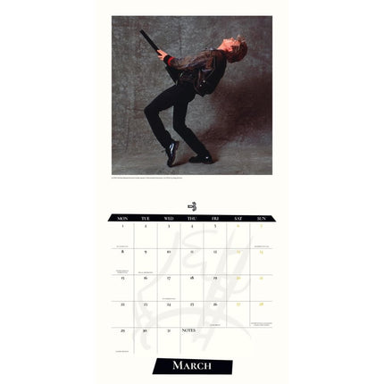 Danilo David Bowie Kalender 2027 Record Sleeve