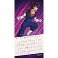 Danilo Dragon Ball Z Kalender 2027