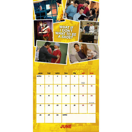 Danilo Friends Kalender 2027