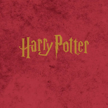 Danilo Harry Potter A5 Agenda 2027