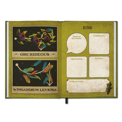 Danilo Harry Potter Gift Set 2026