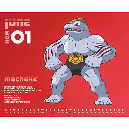 Danilo Pokemon Boxed Kalender 2026