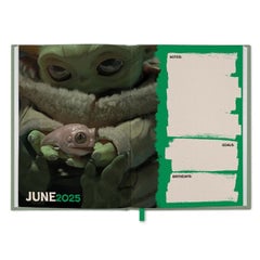 Danilo Star Wars: The Mandalorian Grogu Agenda 2025