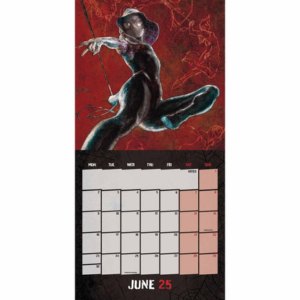 Danilo The Amazing Spiderman Kalender 2025