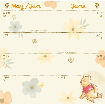 Danilo Winnie the Pooh Slim Agenda 2027