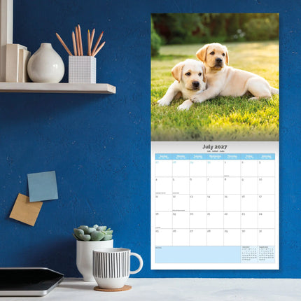 Dayplanner Baby Dieren Kalender 2027