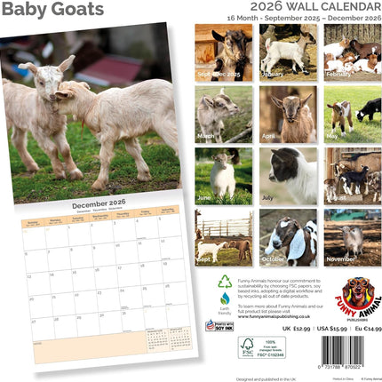 Dayplanner Baby Geitjes Kalender 2026