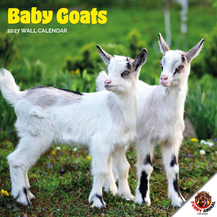 Dayplanner Baby Geitjes Kalender 2027