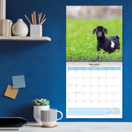 Dayplanner Baby Geitjes Kalender 2027
