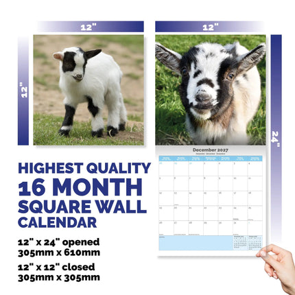 Dayplanner Baby Geitjes Kalender 2027