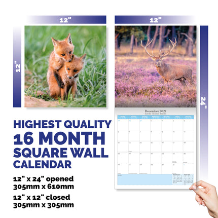 Dayplanner British Wildlife Kalender 2026