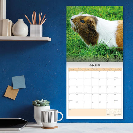 Dayplanner Cavia Kalender 2026
