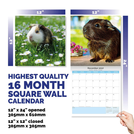 Dayplanner Cavia Kalender 2027