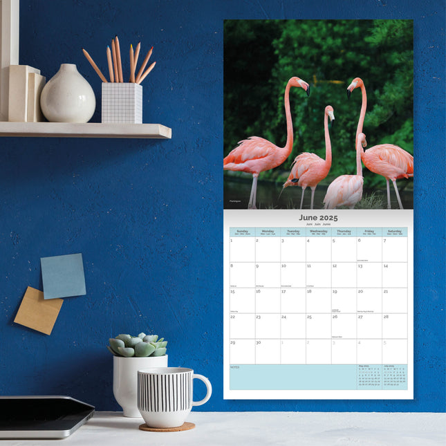 Dayplanner Florida Kalender 2025