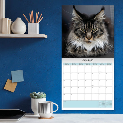 Dayplanner Grumpy Cat Kalender 2025