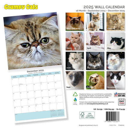 Dayplanner Grumpy Cat Kalender 2025