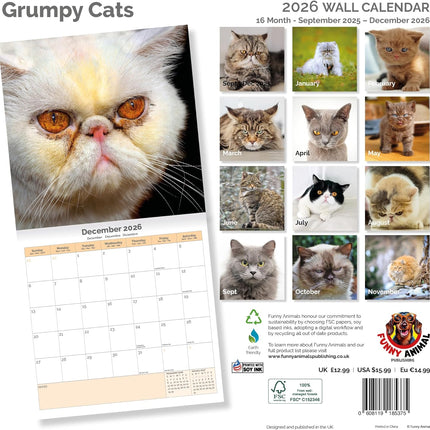Dayplanner Grumpy Cat Kalender 2026