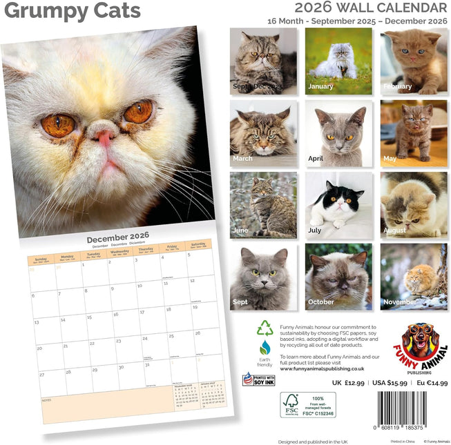 Dayplanner Grumpy Cat Kalender 2026