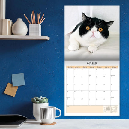 Dayplanner Grumpy Cat Kalender 2026