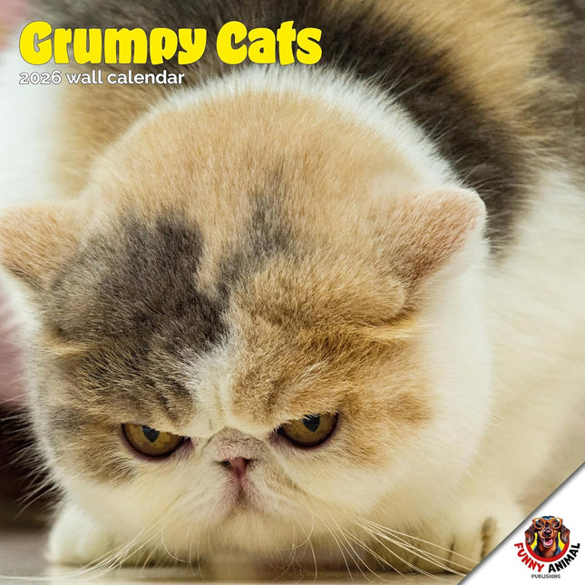 Dayplanner Grumpy Cat Kalender 2026